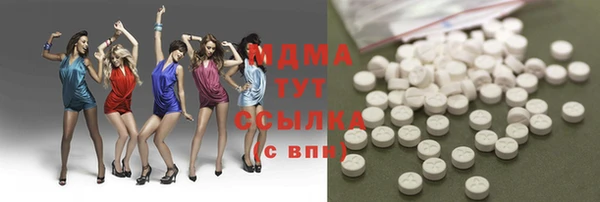 ПСИЛОЦИБИНОВЫЕ ГРИБЫ Михайлов