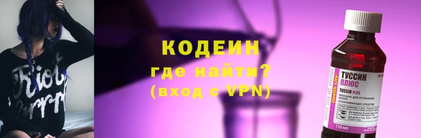 ПСИЛОЦИБИНОВЫЕ ГРИБЫ Михайлов