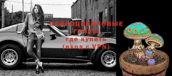 мяу мяу мука Медвежьегорск