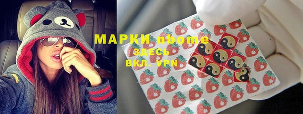 ПСИЛОЦИБИНОВЫЕ ГРИБЫ Михайлов
