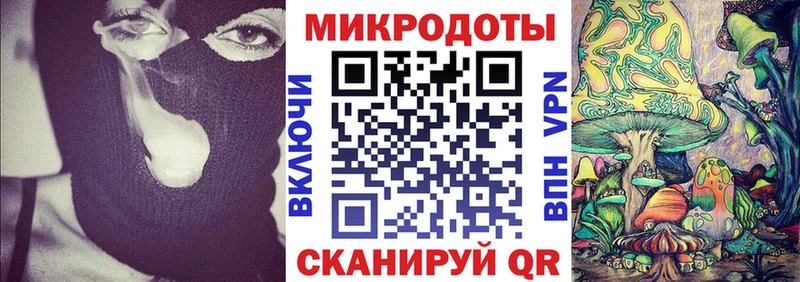 Псилоцибиновые грибы мицелий omg ссылка Рассказово